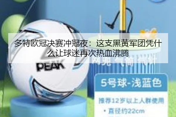 多特欧冠决赛冲冠夜：这支黑黄军团凭什么让球迷再次热血沸腾 | 1xbetsports